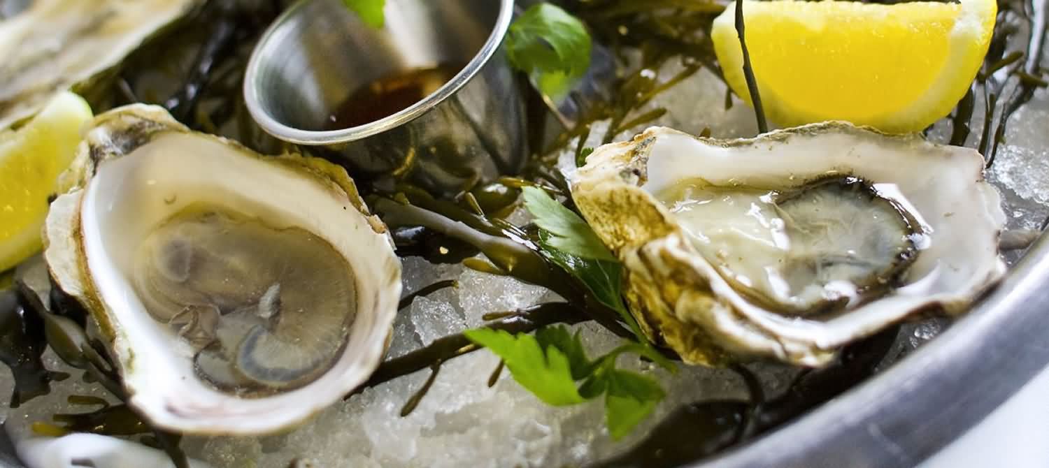 Fresh Shrimp from Fabian Seafood Galveston Texas Fresh Shrimp from