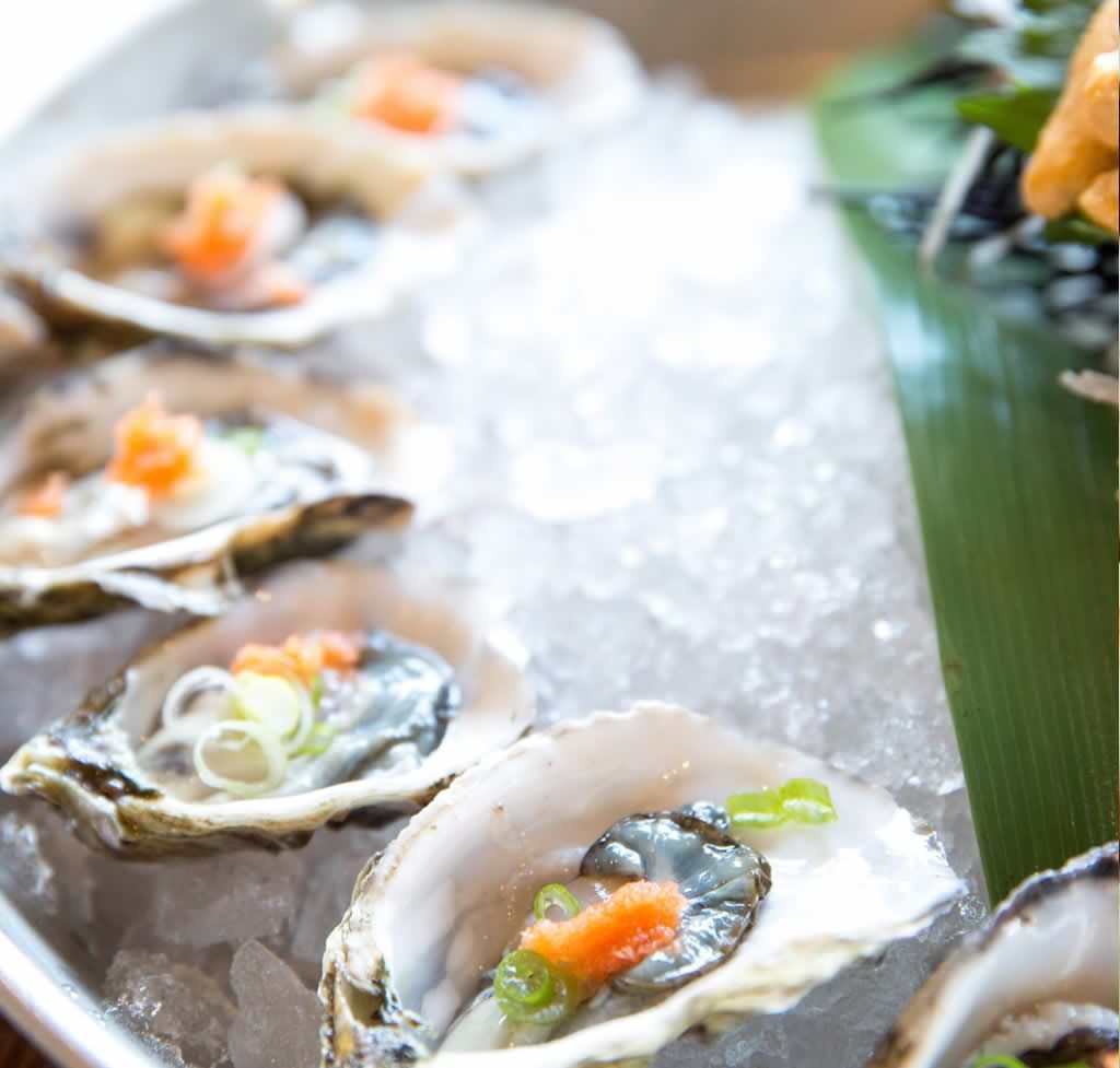 Fresh Shrimp from Fabian Seafood Galveston Texas Home