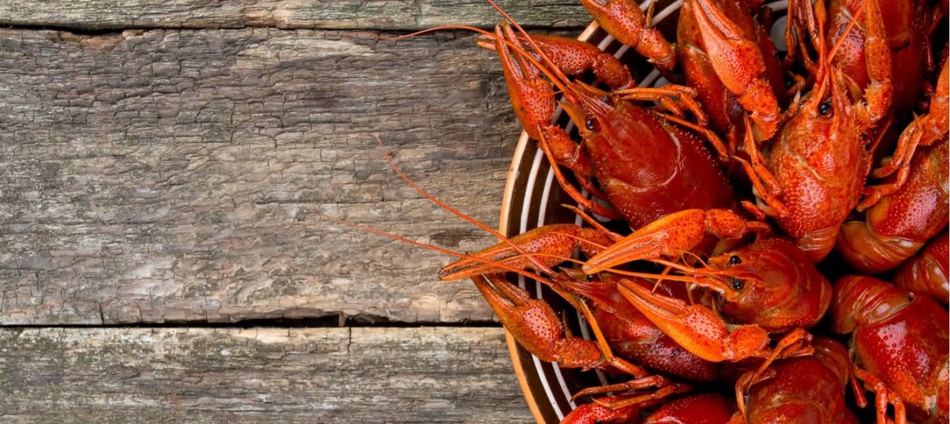 Fresh Shrimp from Fabian Seafood Galveston Texas Home