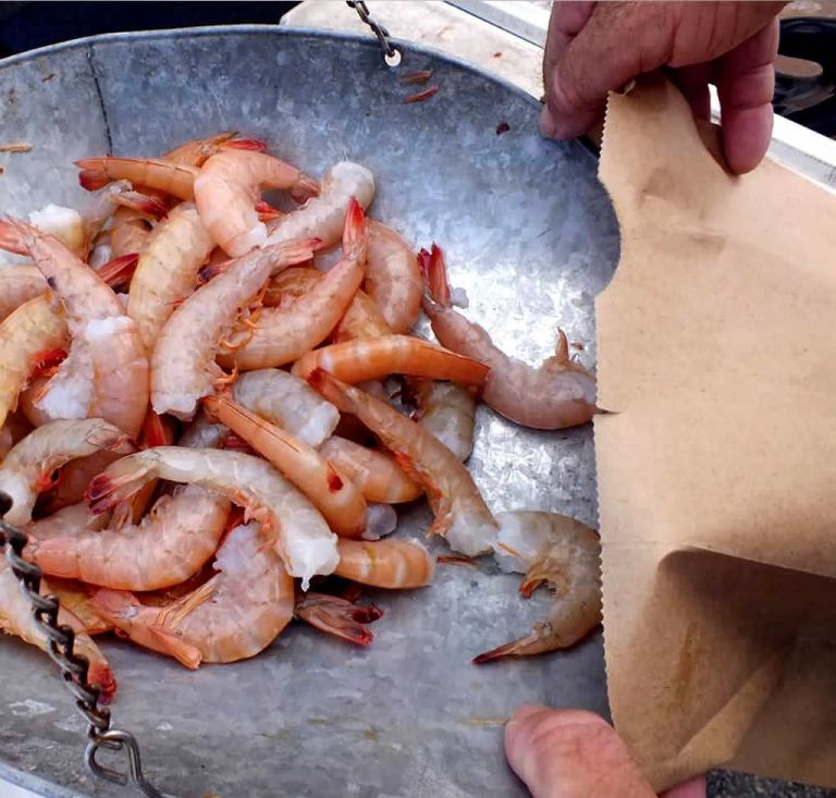 Fresh Shrimp from Fabian Seafood Galveston Texas Home